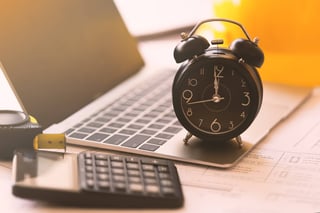Egypt E-Visa Processing Time for Montenegrin Citizens