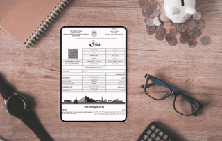 Egypt Visa Sample
