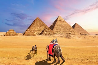 Elephants And Camels In The Desert Near The Pyramids Of Giza Egypt