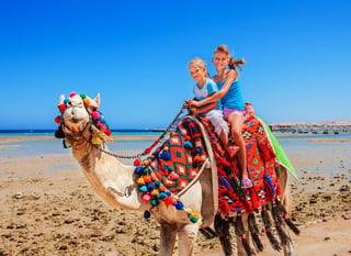 Tourists Children Riding Camel On The Beach Of Egypt Blue Sky