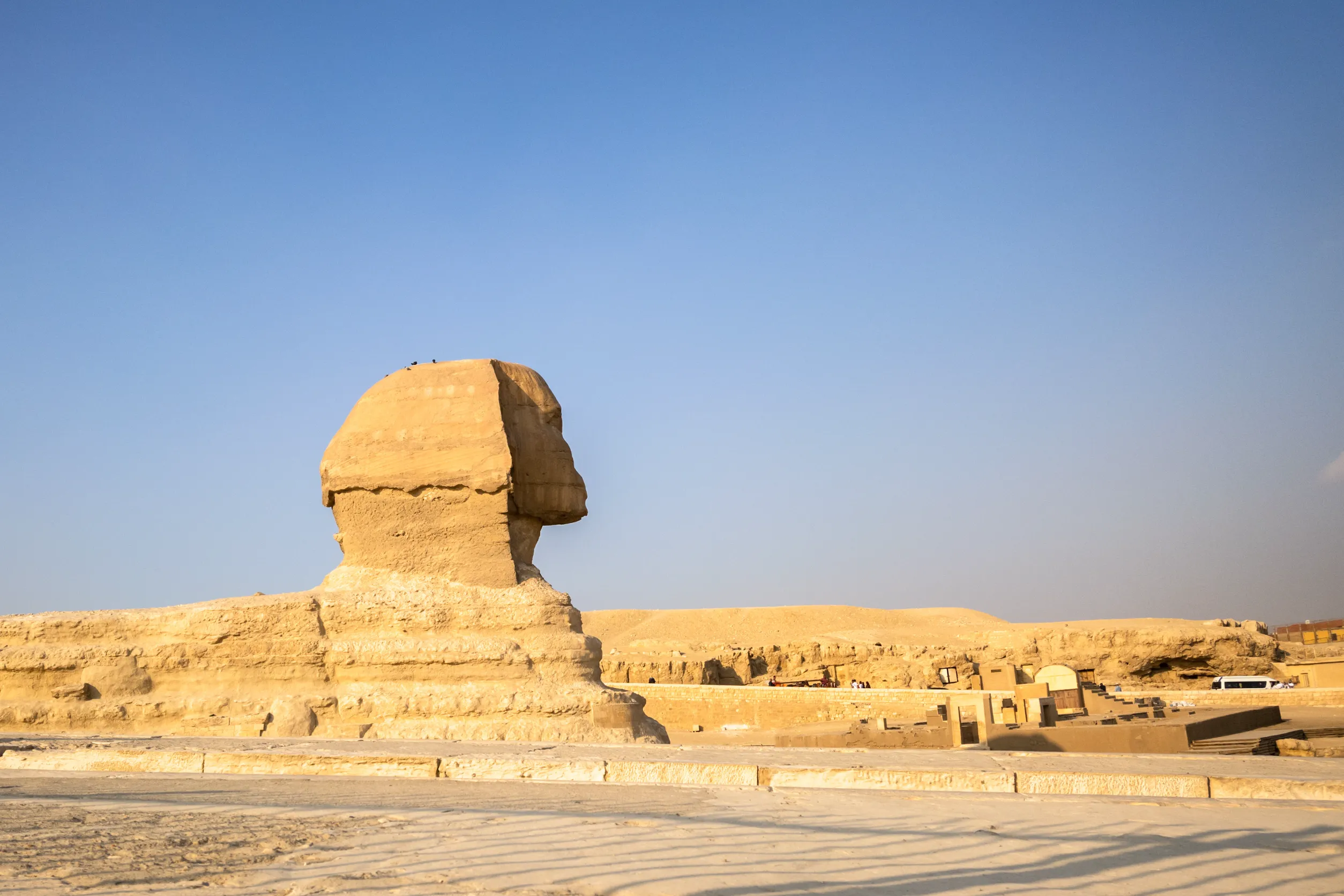 the sphinx at giza cairo egypt